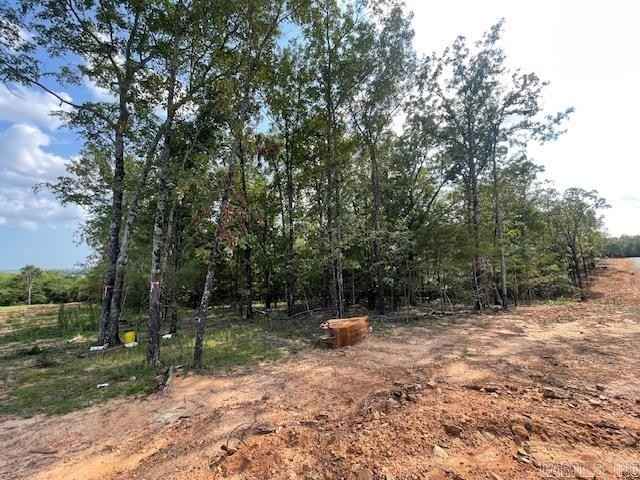 Lot 5 Hwy 65 / Sky Eagle Dr  