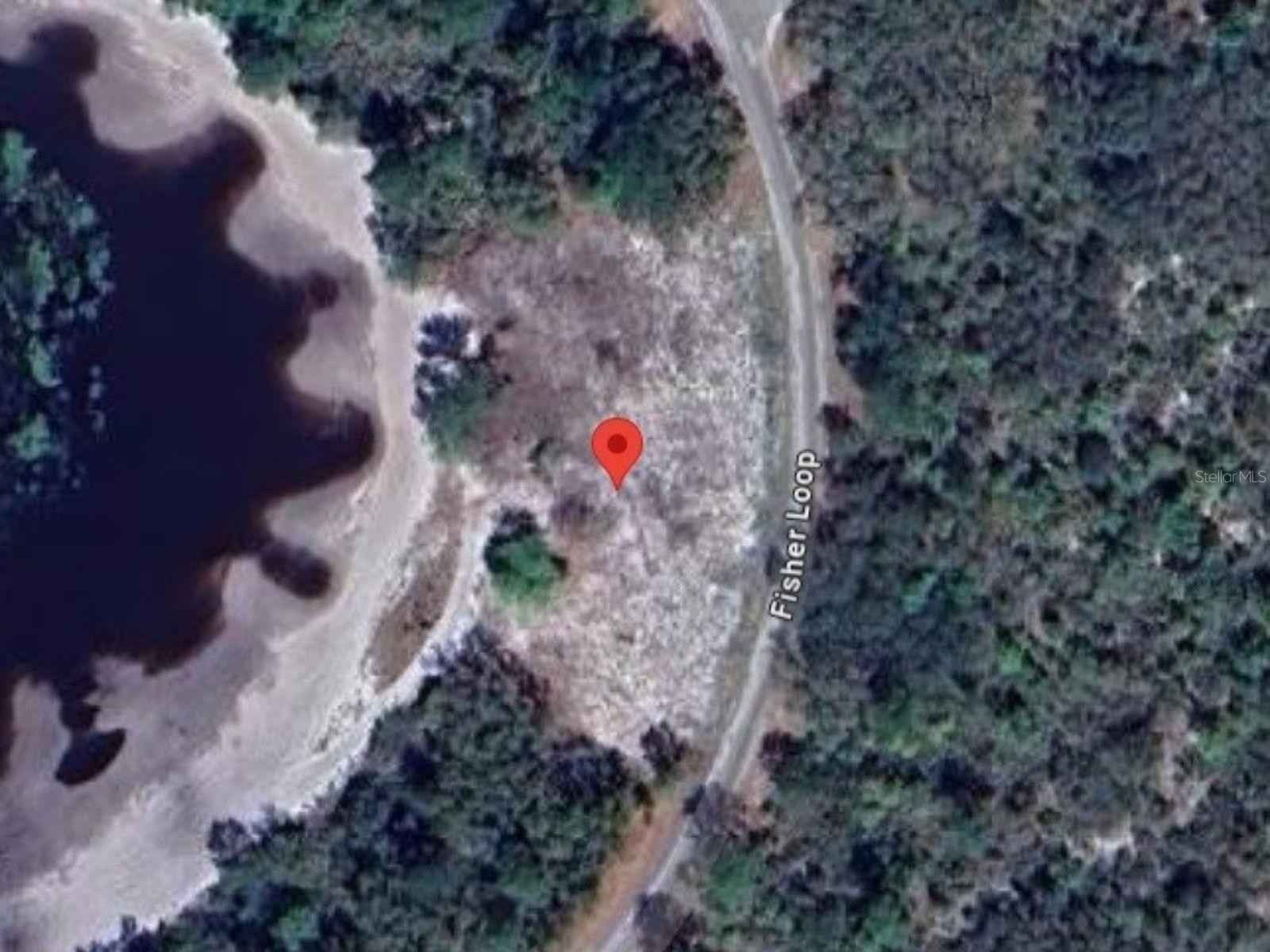 62 FISHER Loop  