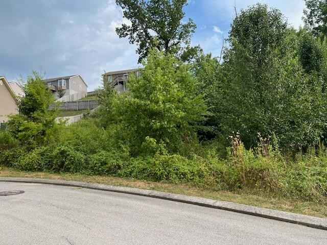 1698 Short Leaf Ln  