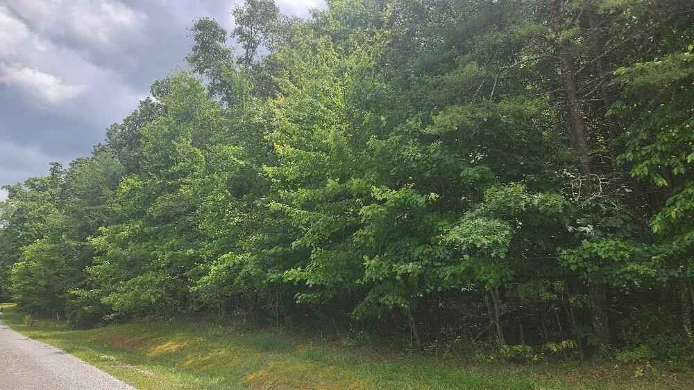 Lot 59 Long Branch Est Off Bald Knob  