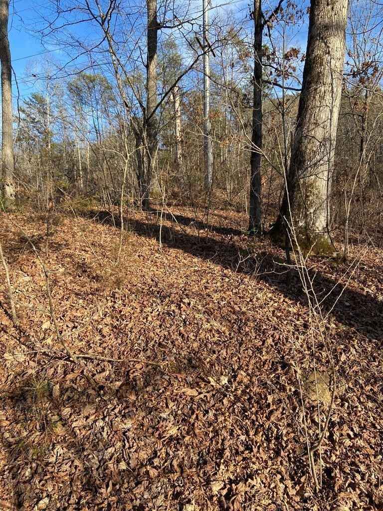 Lot 110 Rivermist Ln  