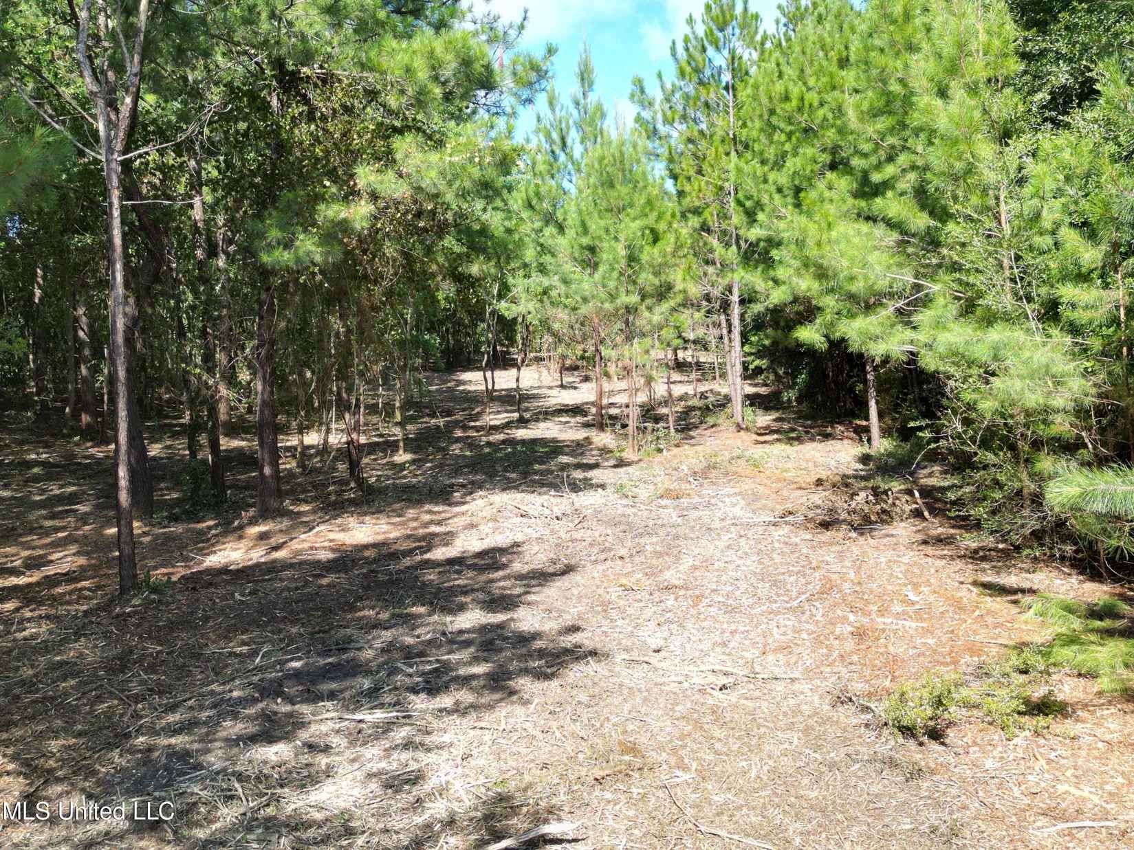 Nhn Forrest H Necaise Rd Lot 4  