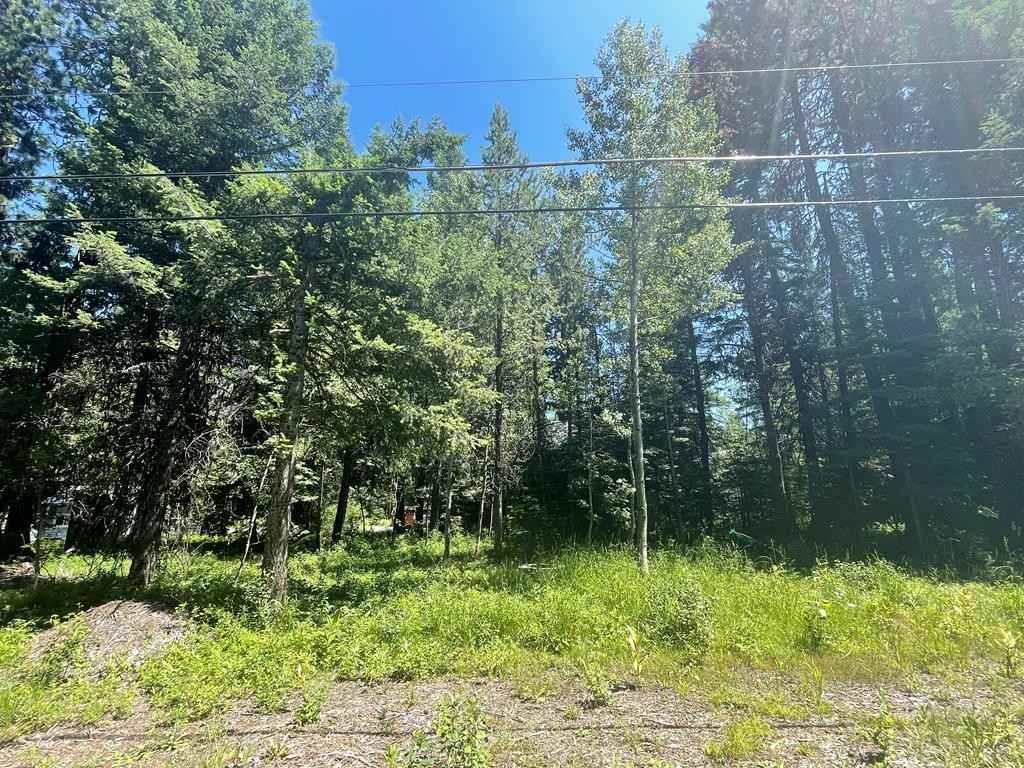 1790 Warren Wagon Rd  