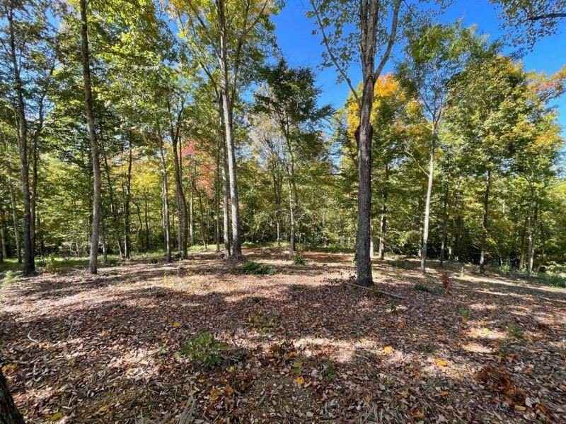 002 State Park Rd  