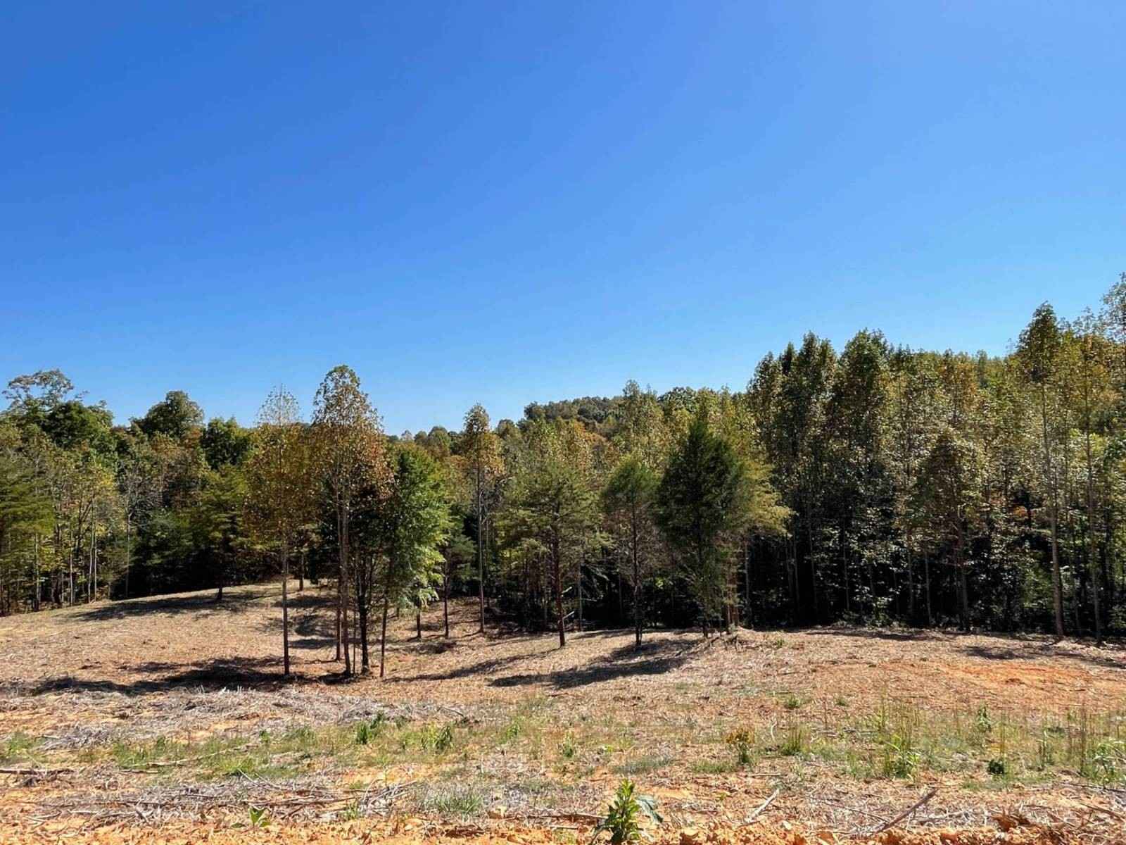 0013 State Park Rd  