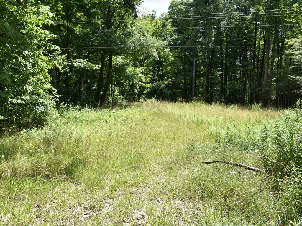 10312 PERRY Hwy  