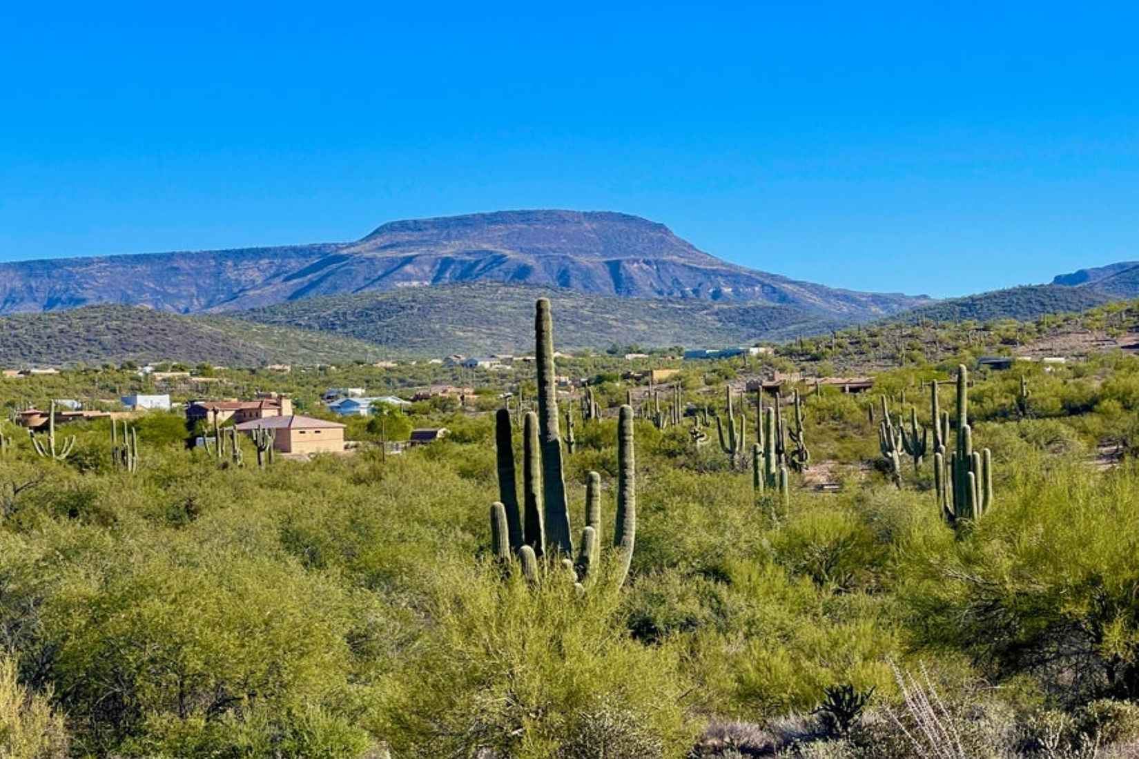 42xx2 N 16th St -- 2  