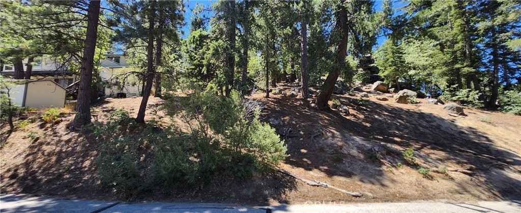 32311 FERN Dr  