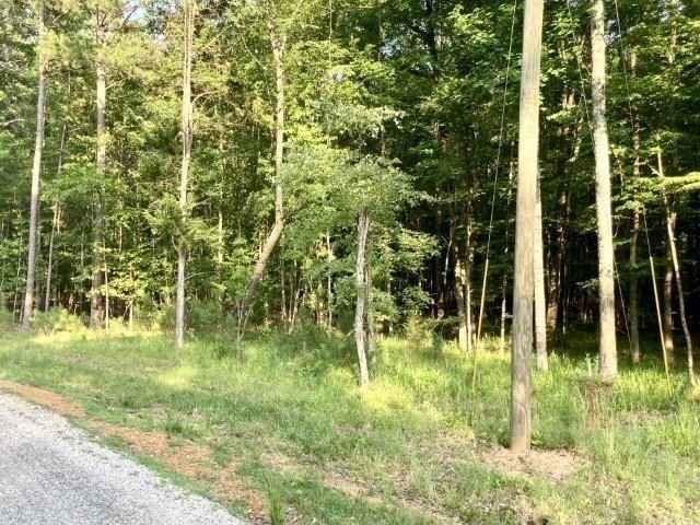 LOT 54 TIMBER Rdg  