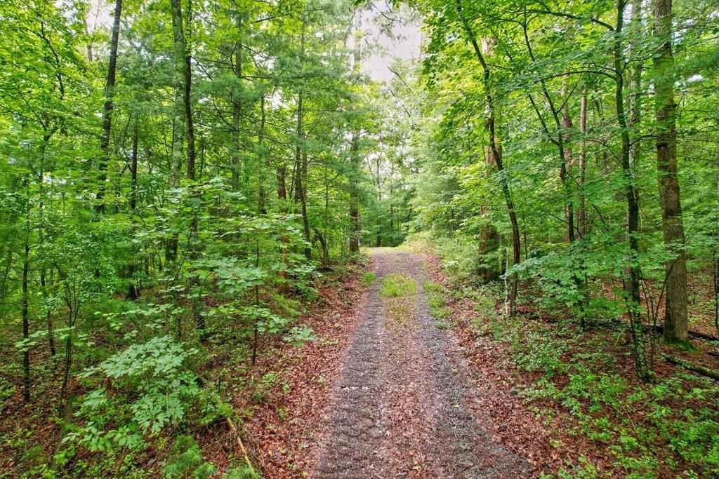7 Acres Cornett Dr  