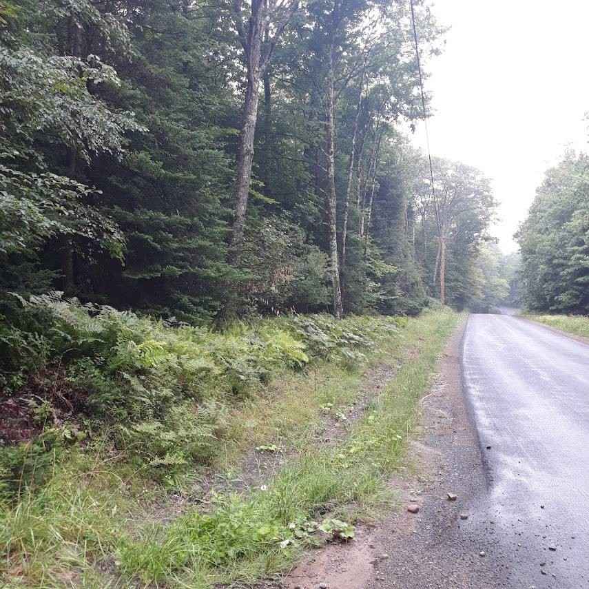 0 Bingham Mls Rd  
