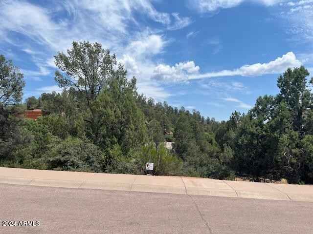 811 W ST MORITZ Dr  