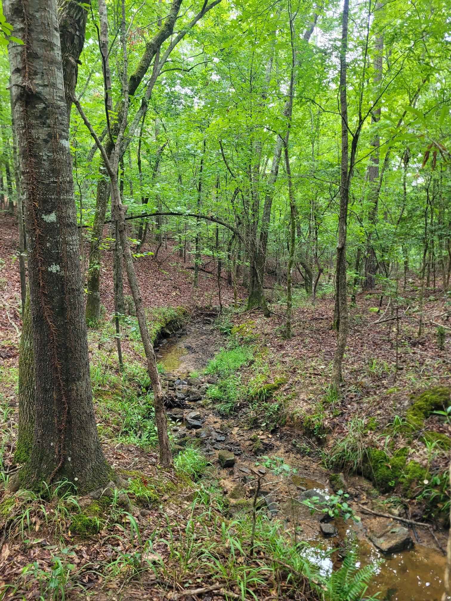 2214 Mountain Laurel Road Hunting and Recreation  