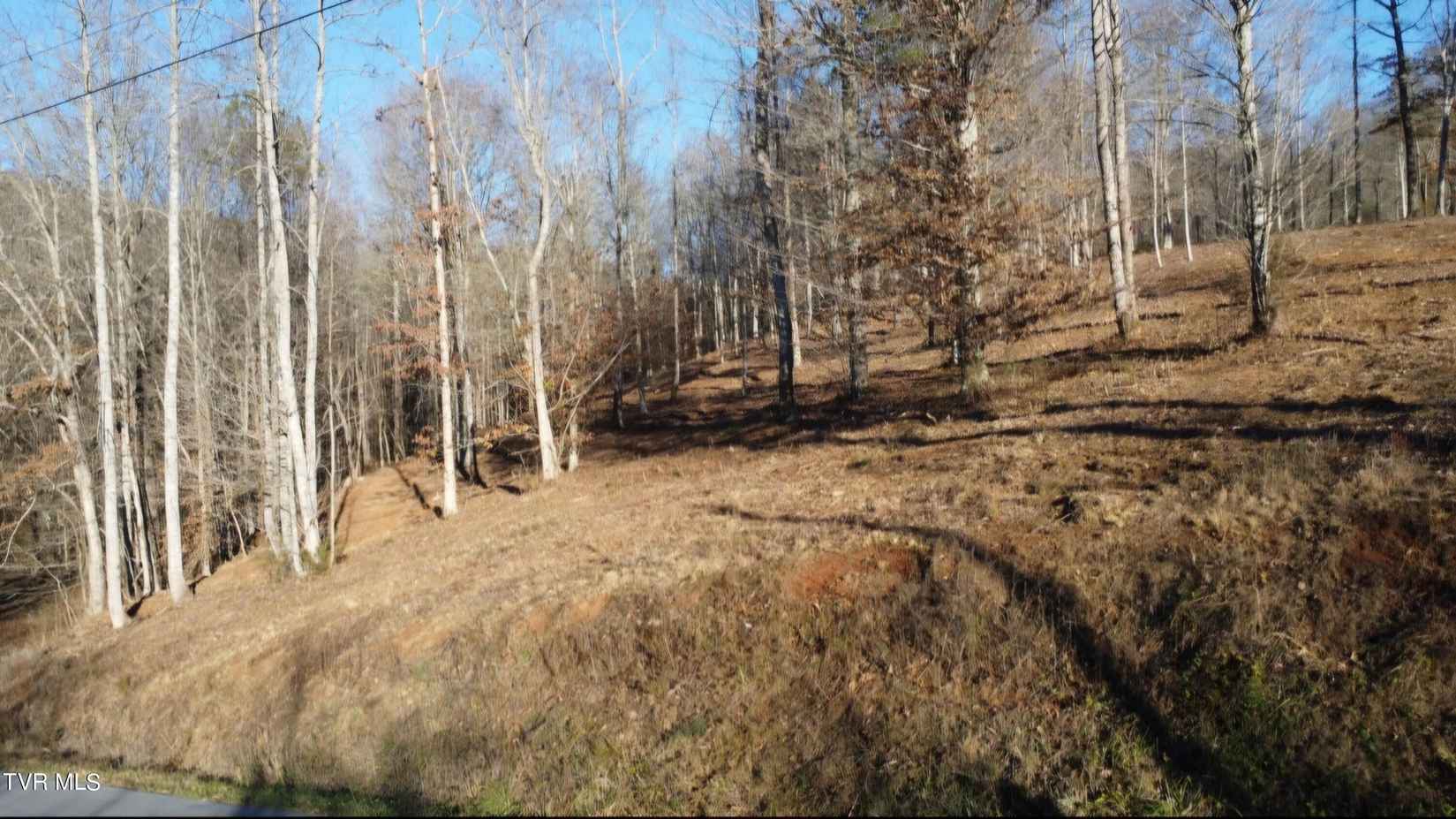 Lot Unit 49 Old Leadmine Bnd Rd  