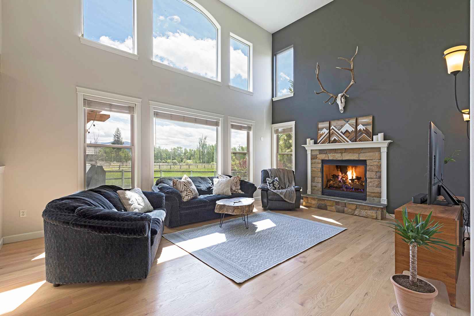 11833 STELLA BLUE DR  