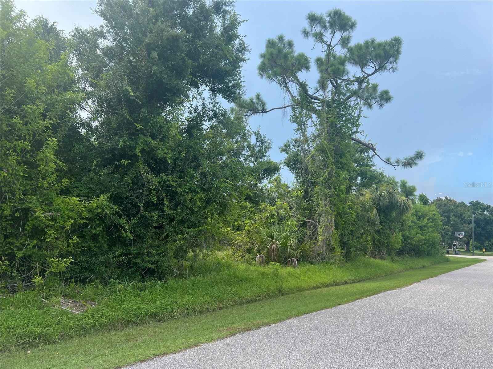 4363 Mls St  