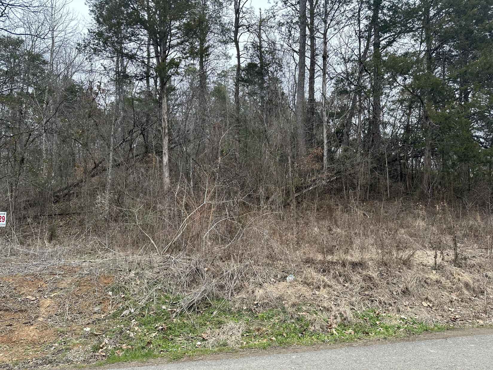 Lot 29 Lower English Crk Rd  