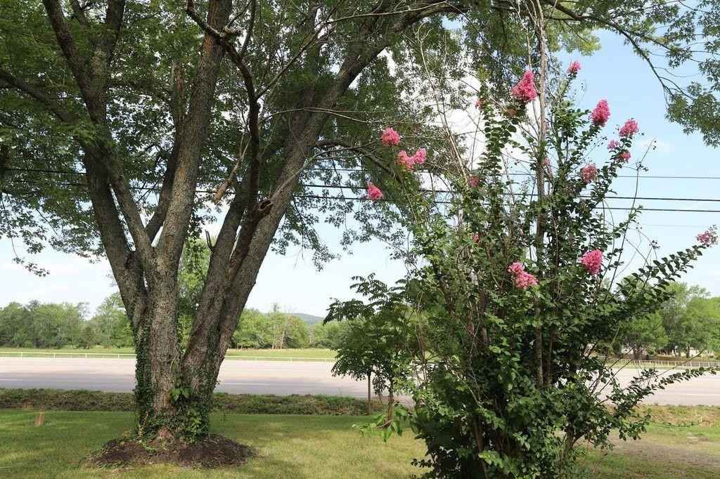 602 N Centennial AVE  