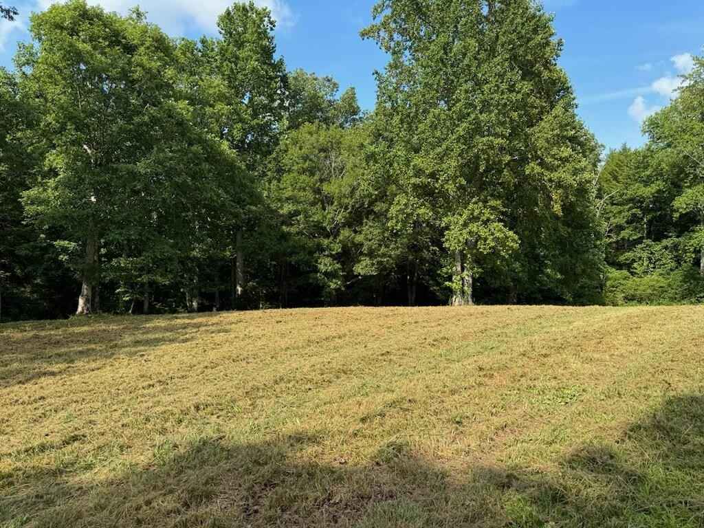 184 Old Wilder Rd Rd  