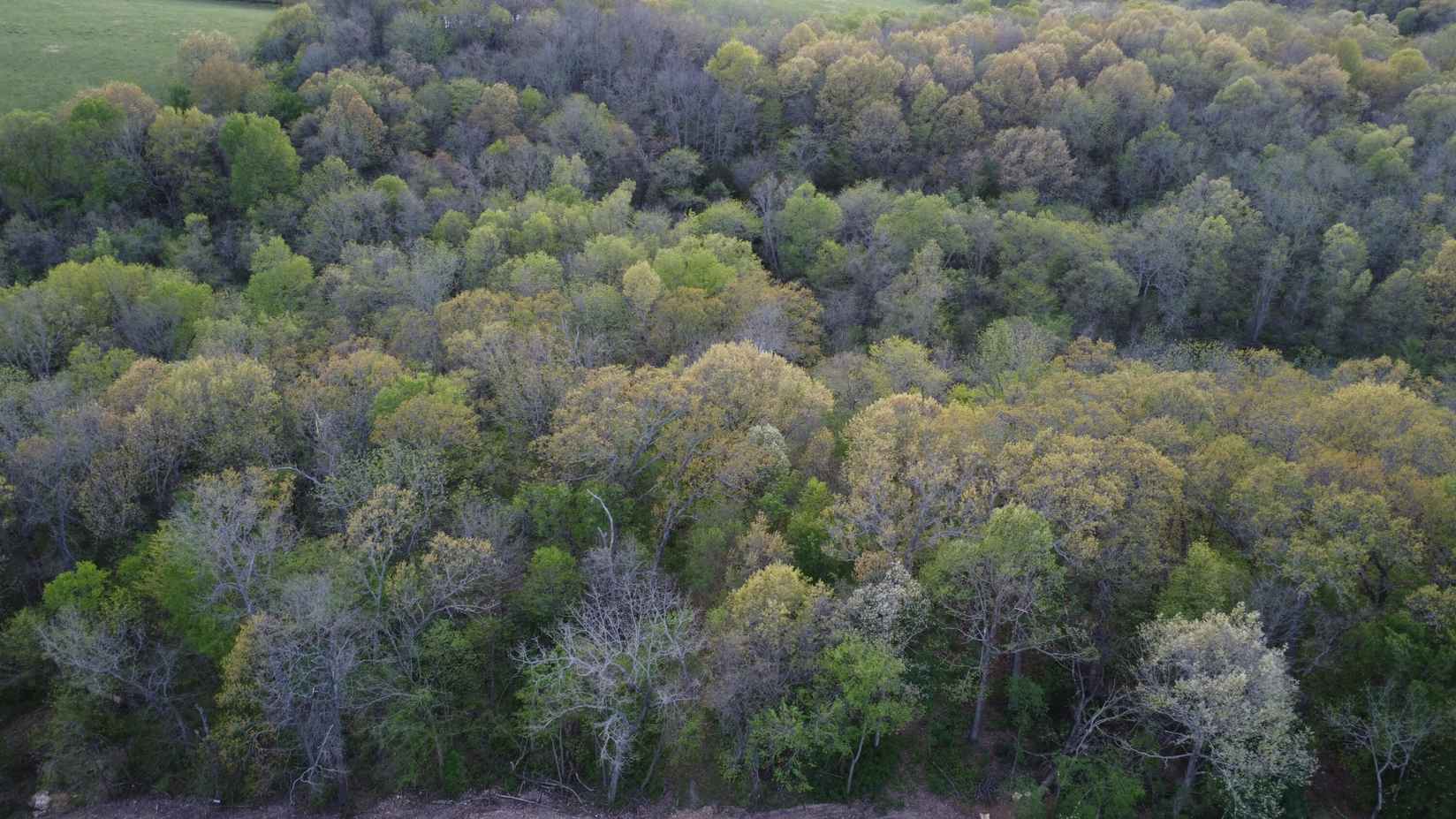 A1 Lot 6 Hunters Rdg  