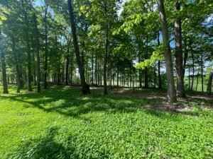 Lot 4 Faught Rd  