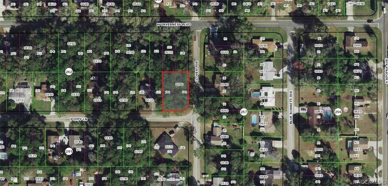 202 Poppy Ln  