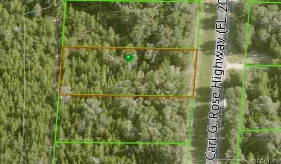 5646 N Carl G Rose Hwy  