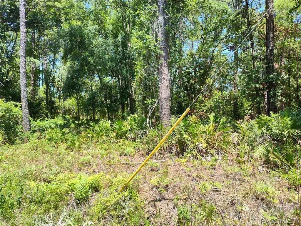 Lot A NE 66th Ct  