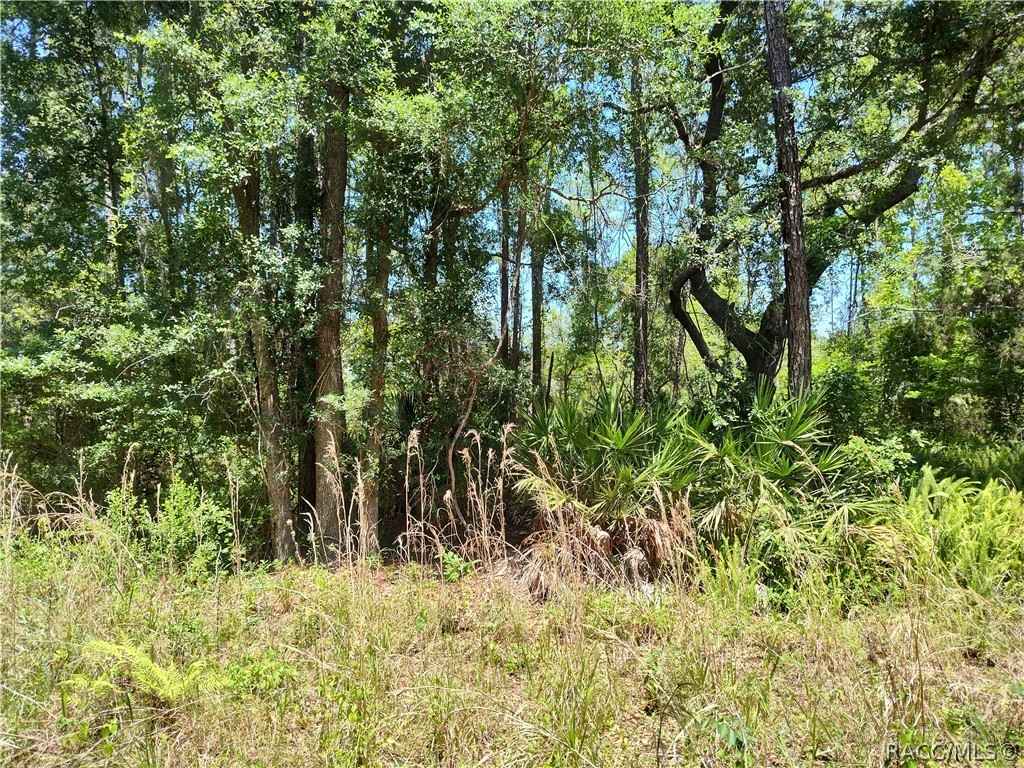 Lot C NE 66th Ct  