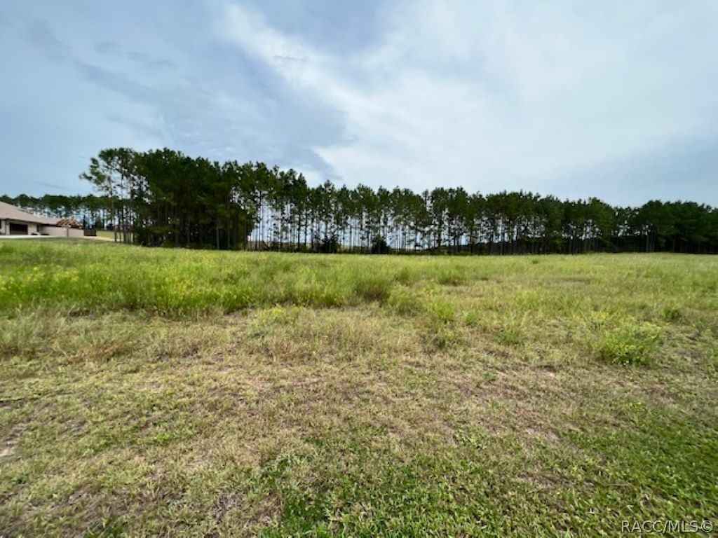 374 N Lake Shenandoah Loop  