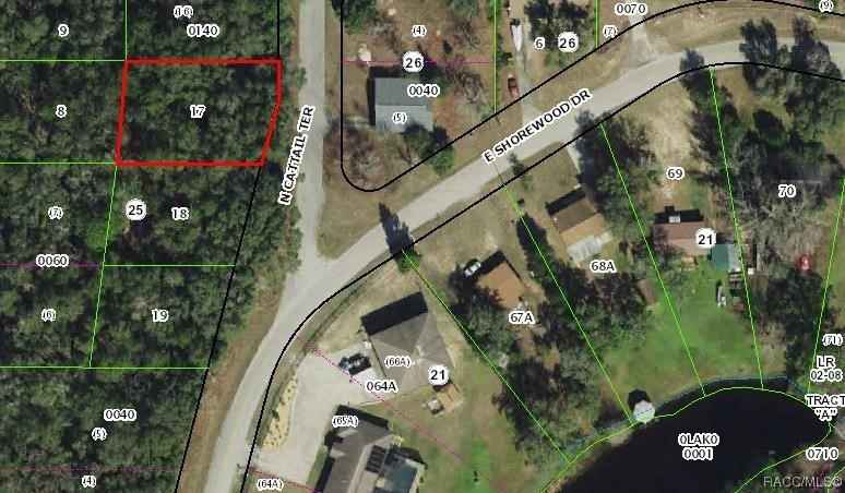 6600 N Cattail Ter  
