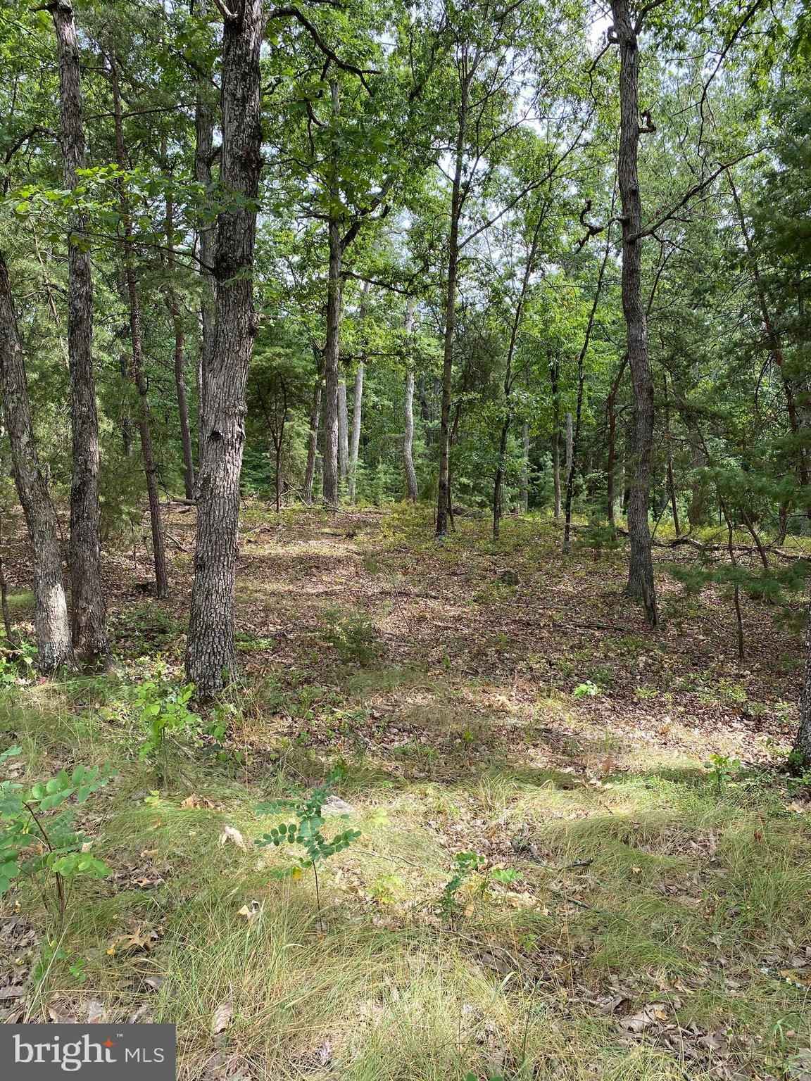 Lot 38 JANES Way  