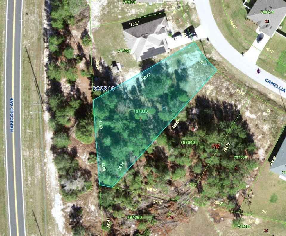 359 CAMELLIA Ct  