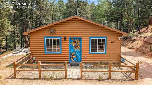 441 Paint Pony Ln  