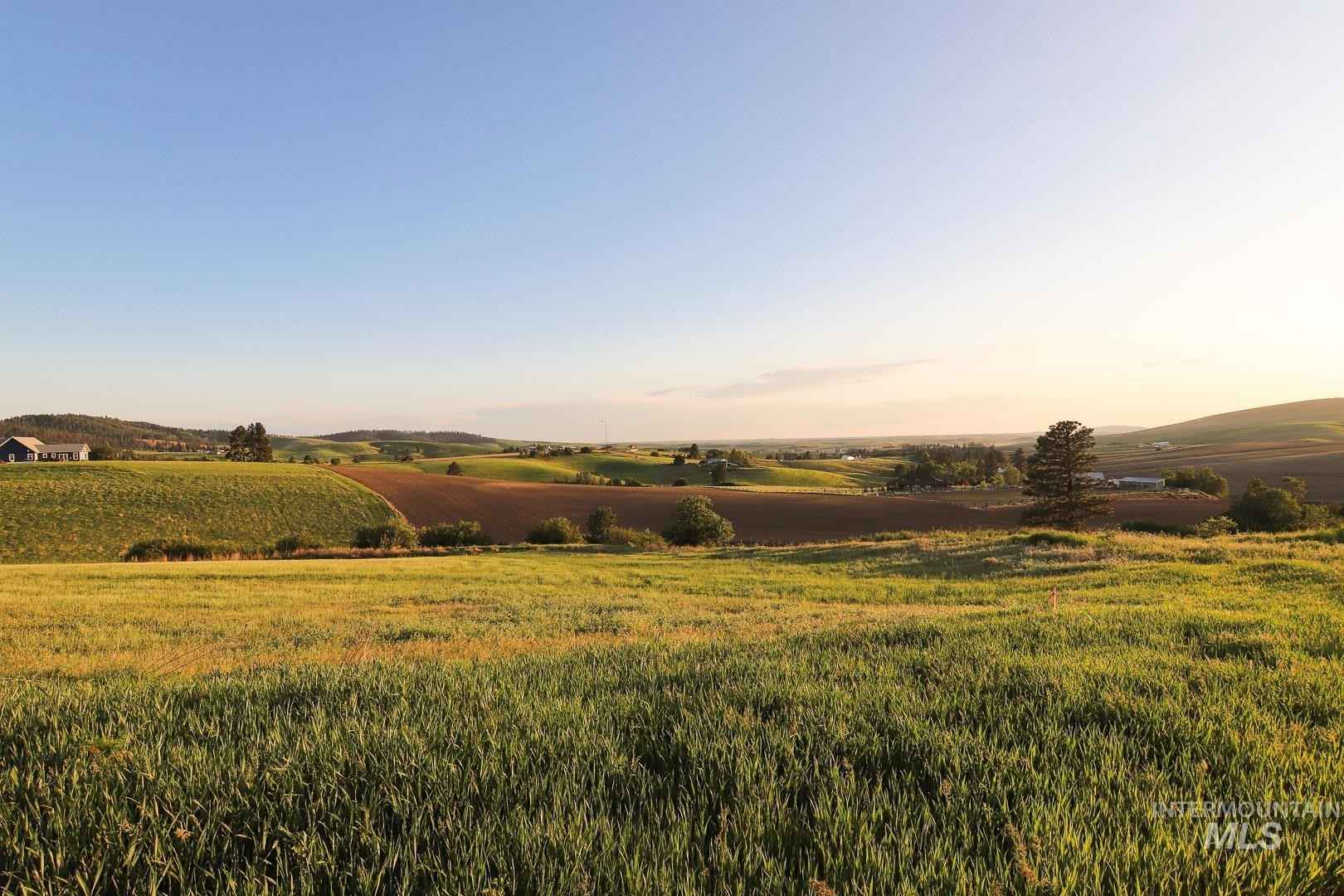 002 Raptor Lane (Lot 2)  