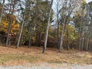 440 Cody Ln  