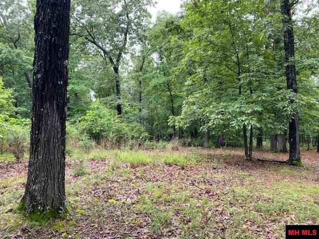 Lot 5 LAKEVIEW Cir  