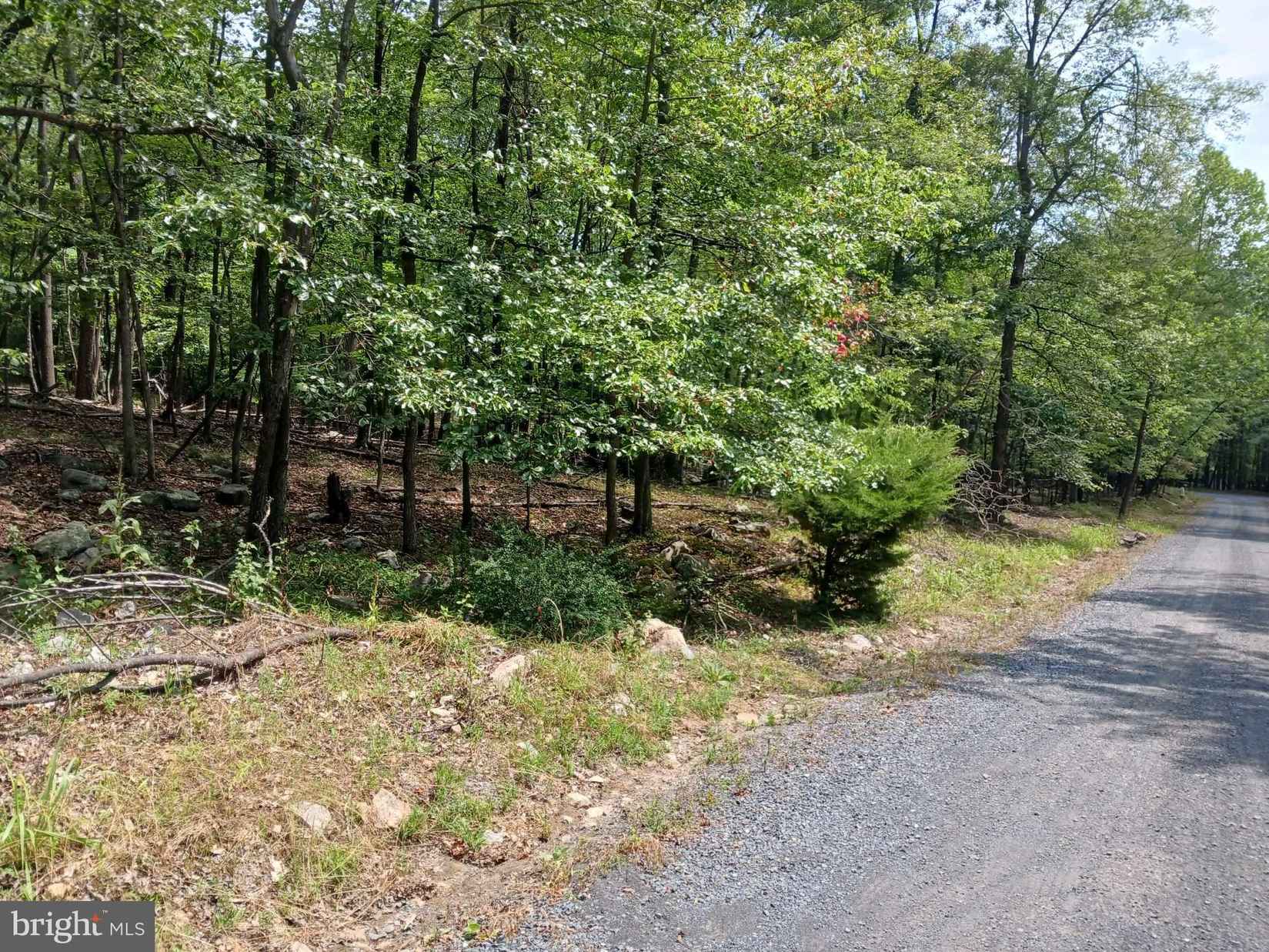Lot 11 Pendragon Ct  