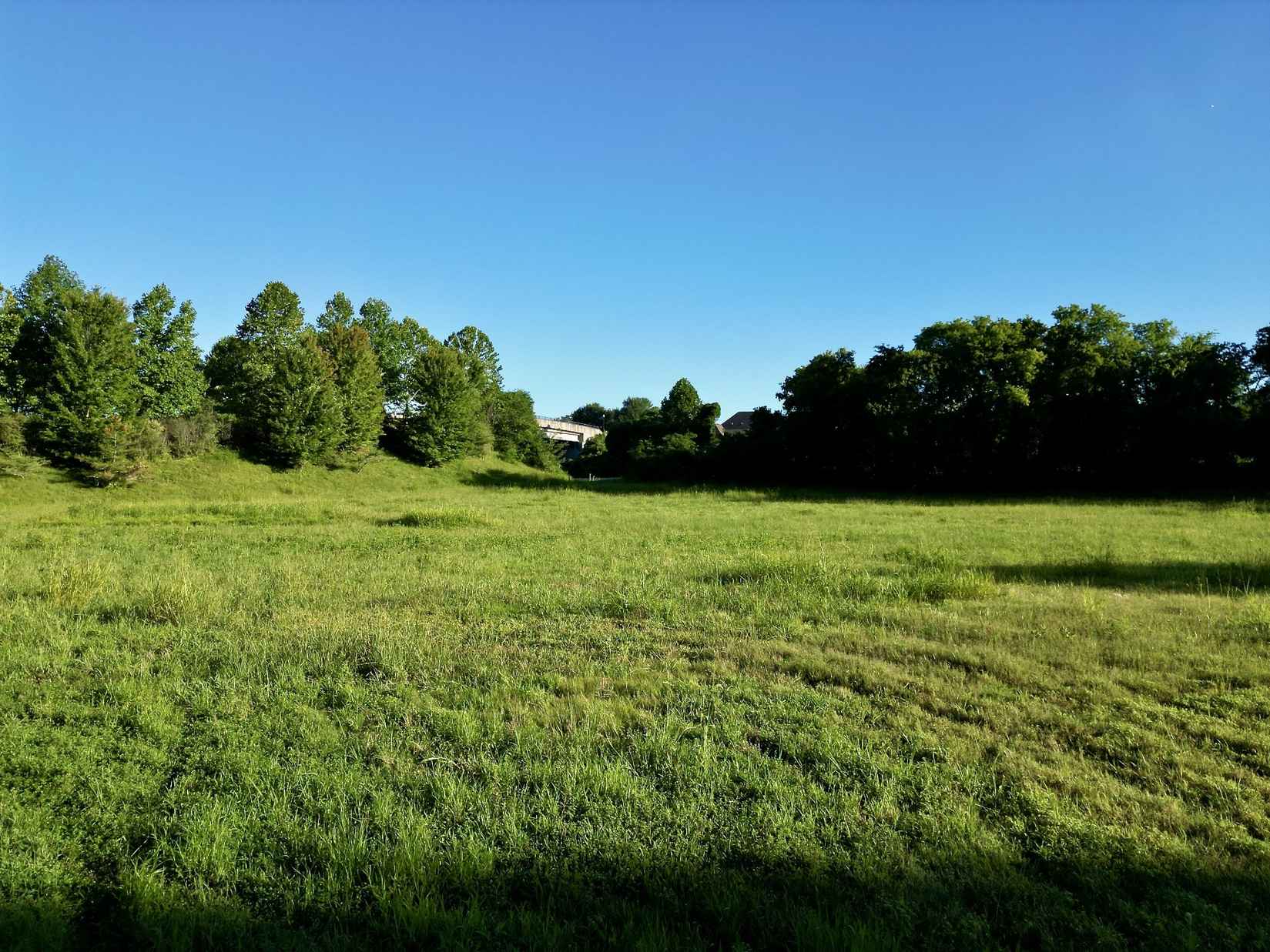 0 Lebanon Rd  