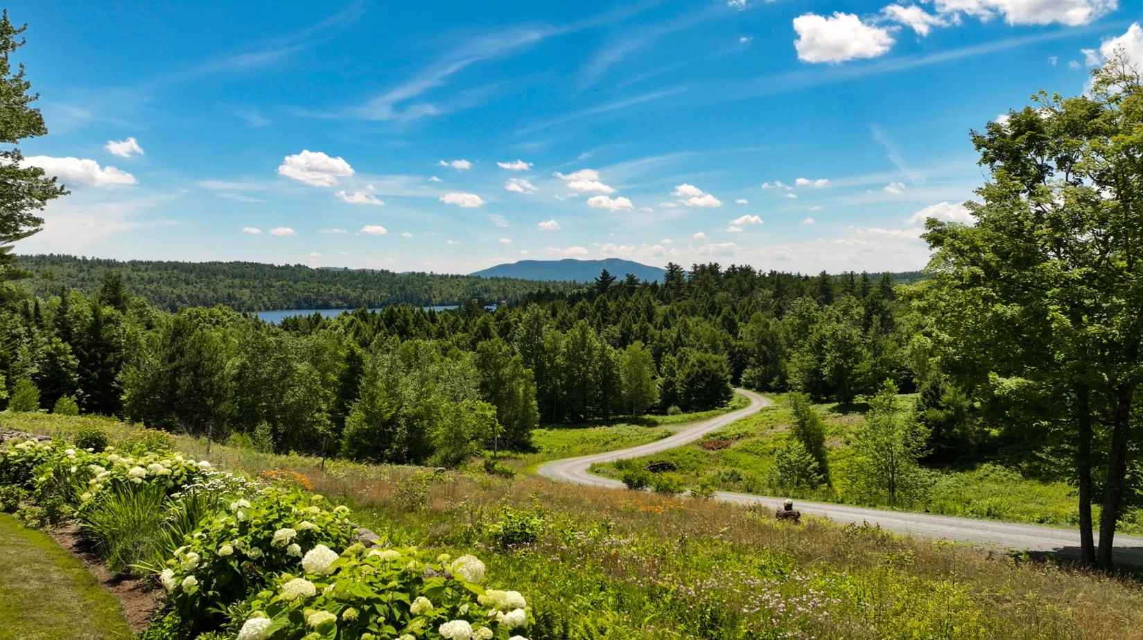 1452 Little Sunapee Rd  
