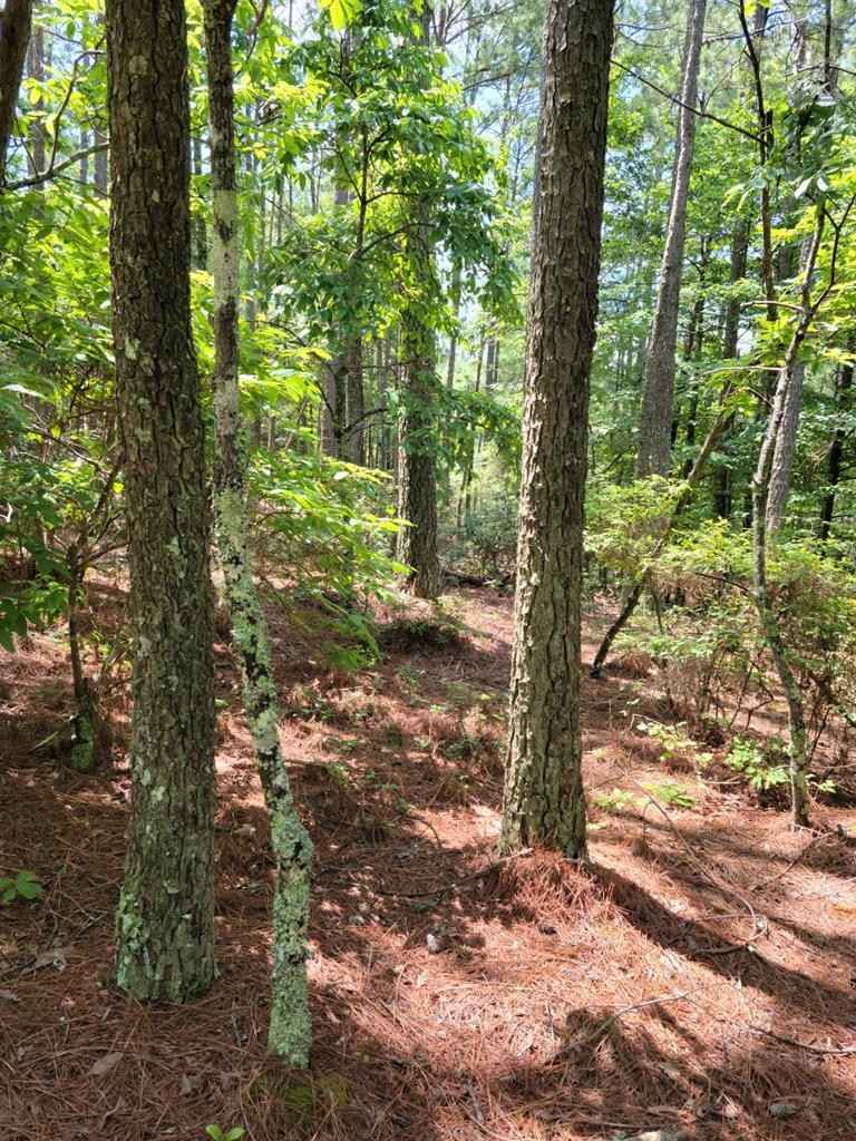 Lot 28 Belaire Dr  