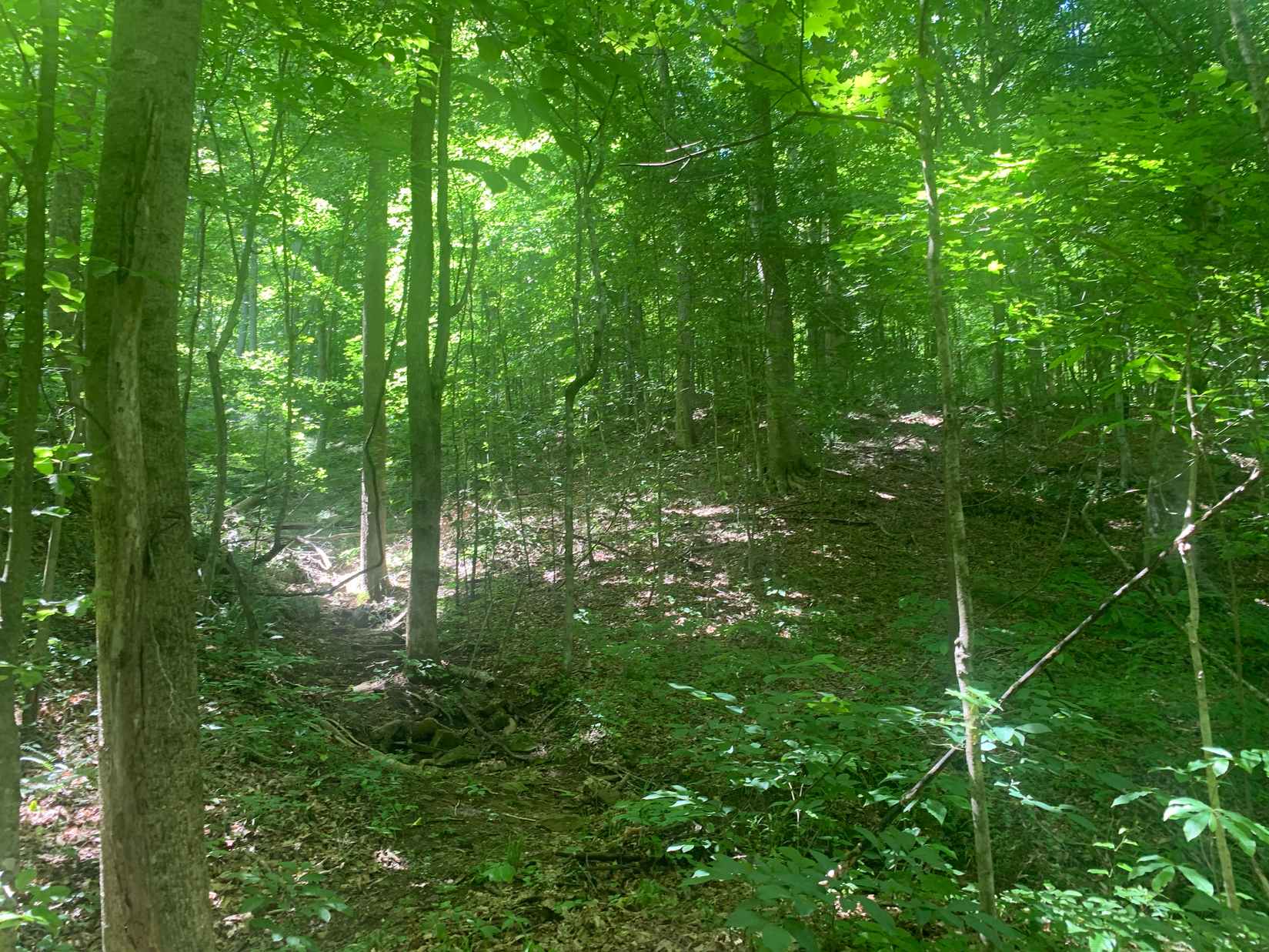 25 Acres Land Fleming Frk  