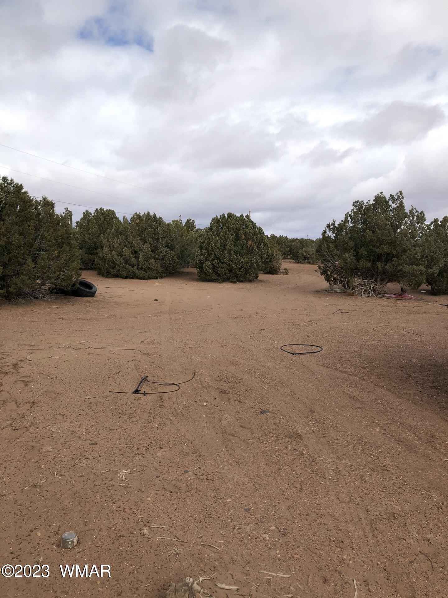 3981 Apache Rd  