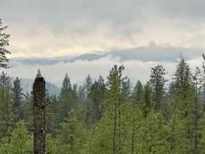 4684 LOT B GROUSE Crk RD  