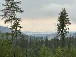 4684 LOT F GROUSE Crk RD  