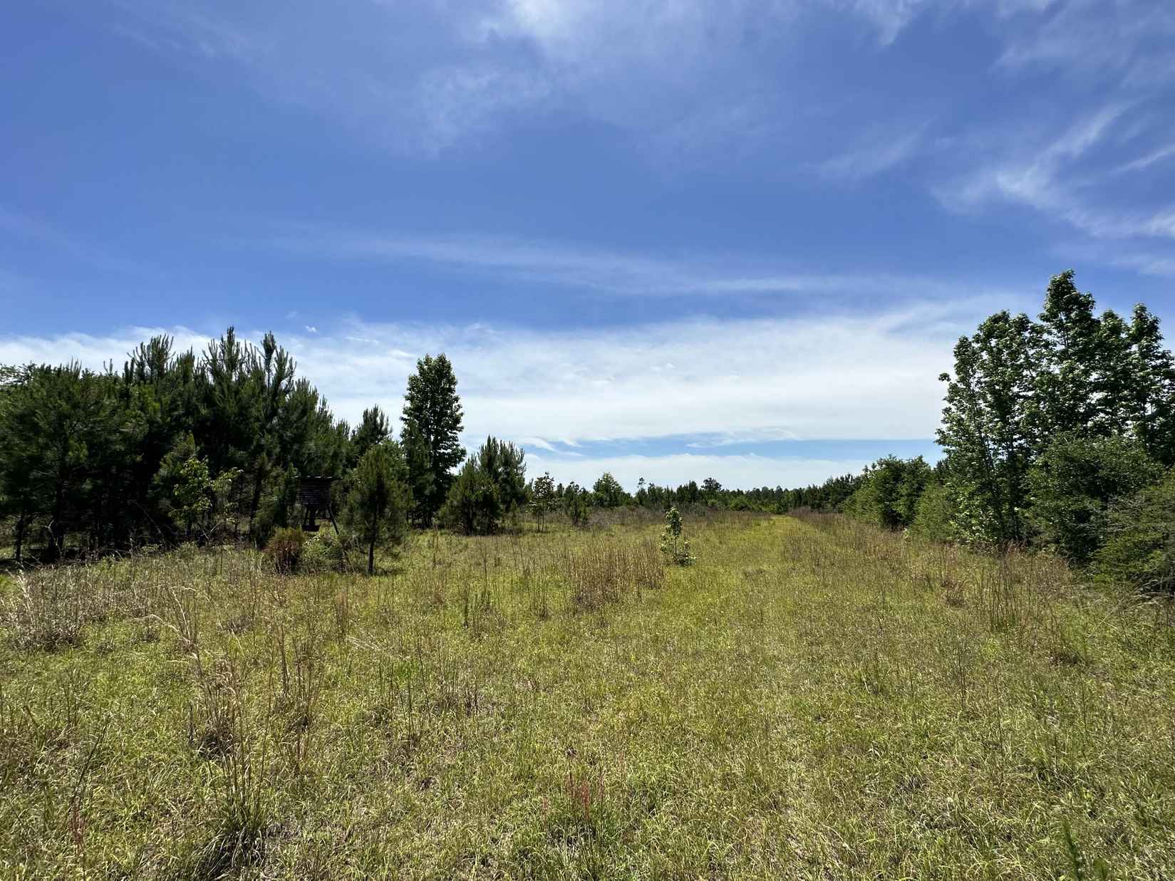 50/-acres Frost Ln  