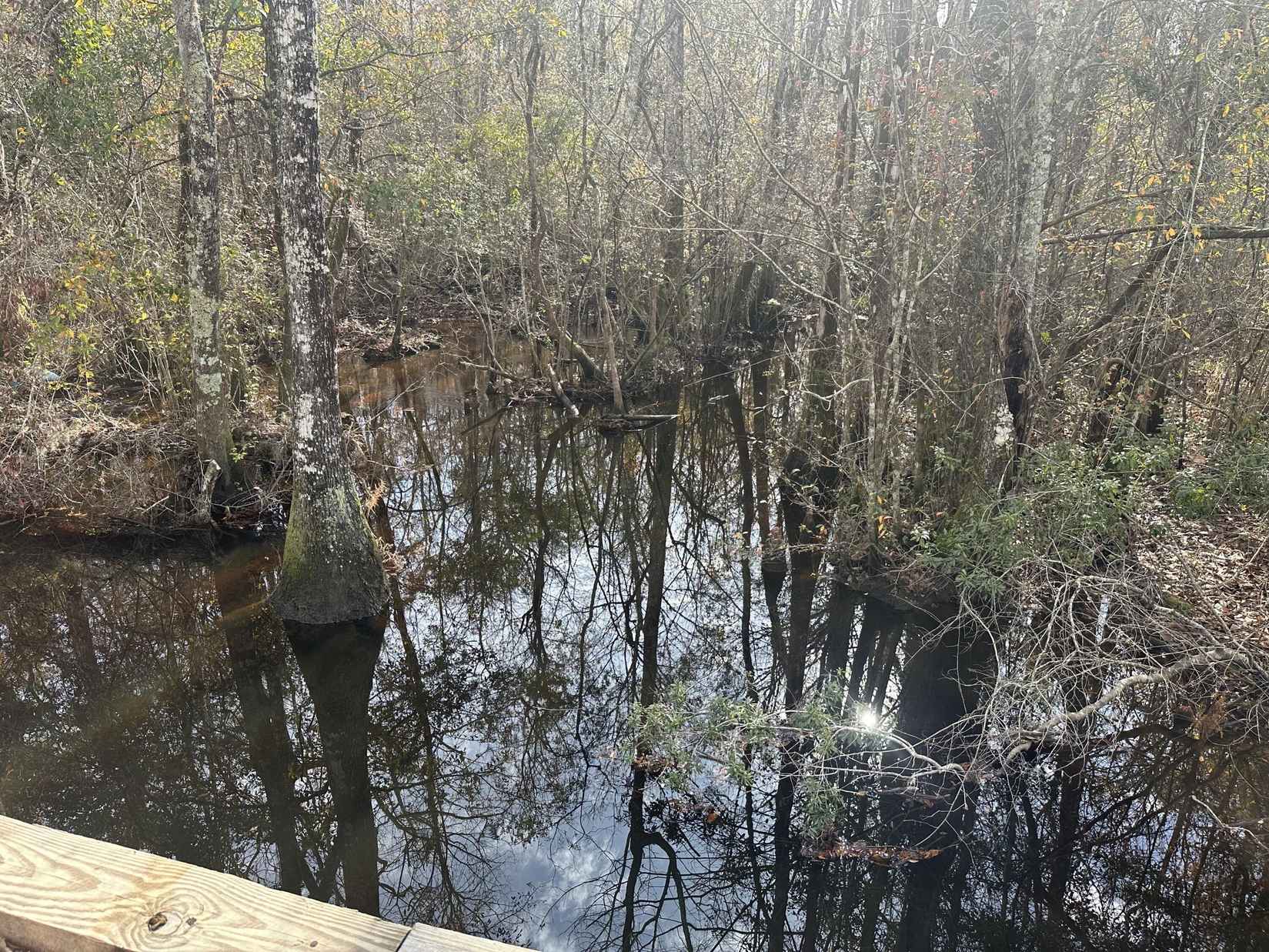 Tract 6317 SW Harris Stevenson Rd  