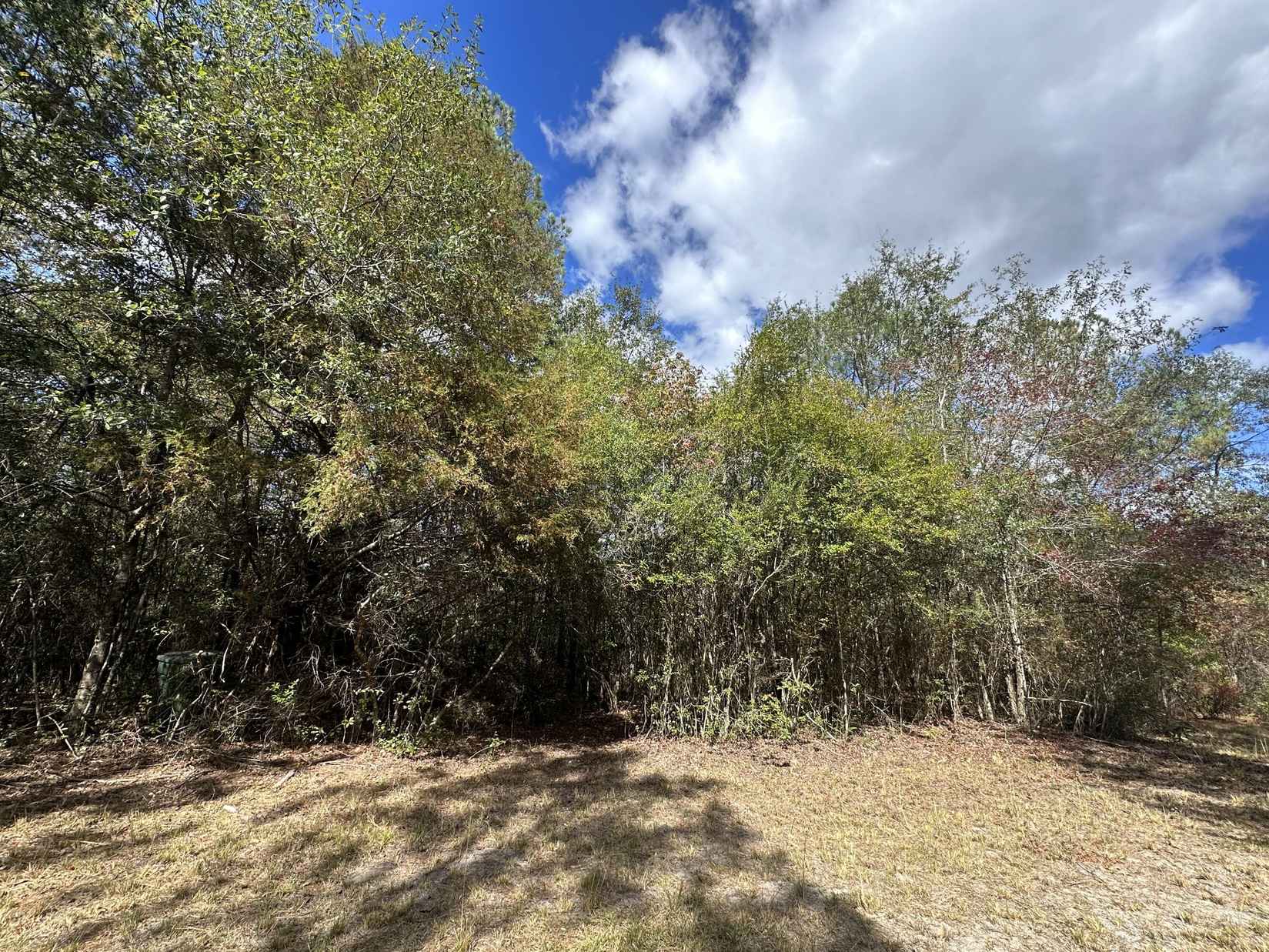 15 Ac/- Lacey Ln  