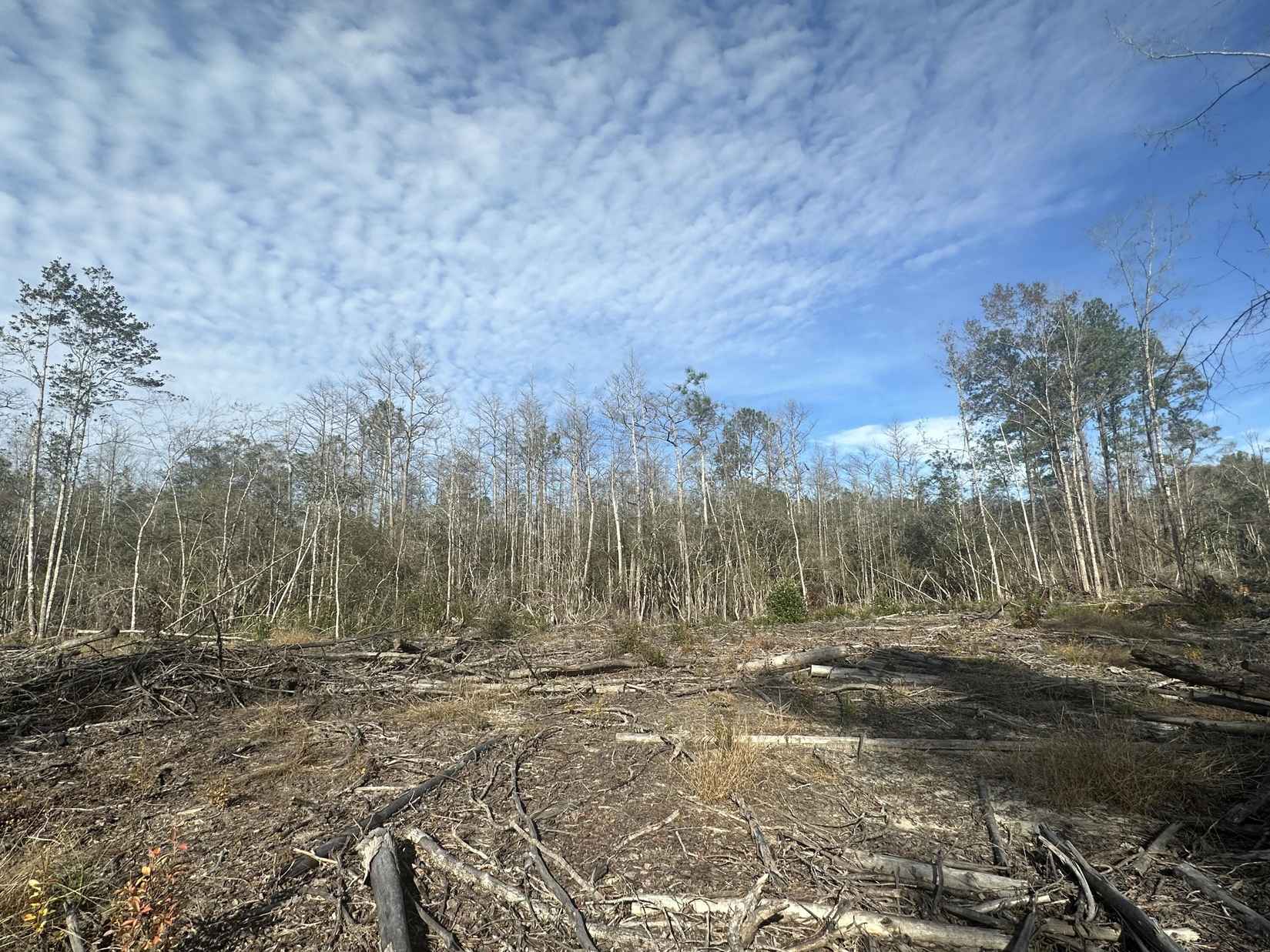 Tract#6331 Sellers Rd  