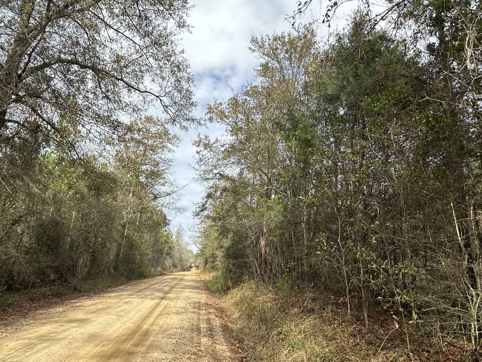 Tract#6301 SW Love Rd  